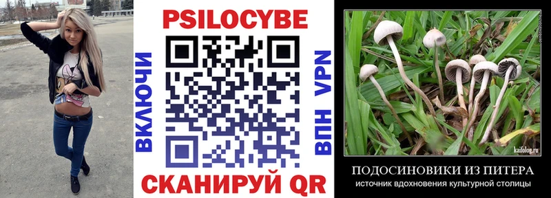 Псилоцибиновые грибы Psilocybine cubensis  Купить закладки  Феодосия 